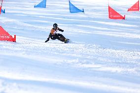 FIS Snowboard World Cup In Krynica-Zdroj