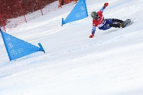 FIS Snowboard World Cup In Krynica-Zdroj