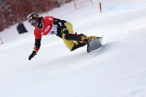 FIS Snowboard World Cup In Krynica-Zdroj