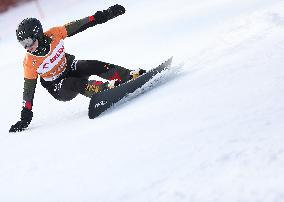 FIS Snowboard World Cup In Krynica-Zdroj