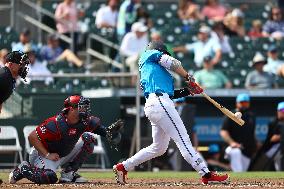 Spring Training Baseball - Nationals Vs. Marlins