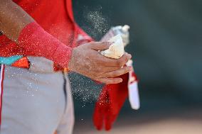 Spring Training Baseball - Nationals Vs. Marlins