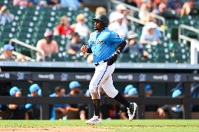 Spring Training Baseball - Nationals Vs. Marlins