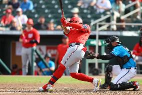 Spring Training Baseball - Nationals Vs. Marlins