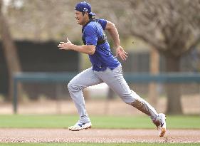 Baseball: MLB spring training