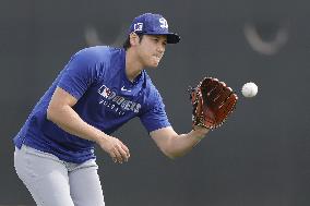 Baseball: MLB spring training