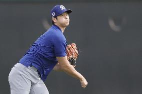 Baseball: MLB spring training