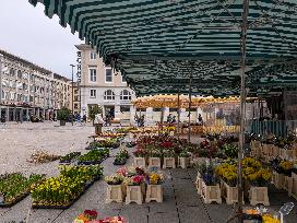 First Spring Flowers At The Market