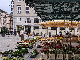 First Spring Flowers At The Market