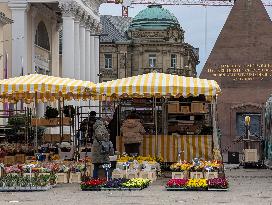 First Spring Flowers At The Market