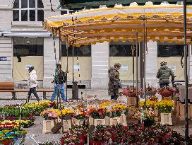 First Spring Flowers At The Market