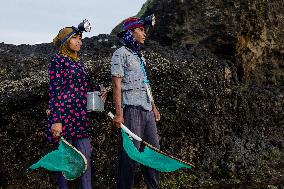 The Sasak People Gather To Catch Sea Worms Or Bau Nyale In Lombok, Indonesia.