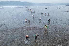 The Sasak People Gather To Catch Sea Worms Or Bau Nyale In Lombok, Indonesia.