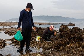 The Sasak People Gather To Catch Sea Worms Or Bau Nyale In Lombok, Indonesia.