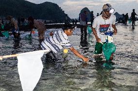 The Sasak People Gather To Catch Sea Worms Or Bau Nyale In Lombok, Indonesia.