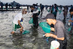 The Sasak People Gather To Catch Sea Worms Or Bau Nyale In Lombok, Indonesia.