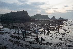 The Sasak People Gather To Catch Sea Worms Or Bau Nyale In Lombok, Indonesia.