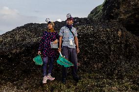 The Sasak People Gather To Catch Sea Worms Or Bau Nyale In Lombok, Indonesia.