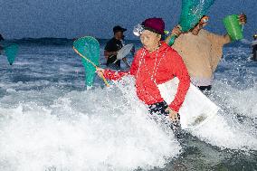 The Sasak People Gather To Catch Sea Worms Or Bau Nyale In Lombok, Indonesia.