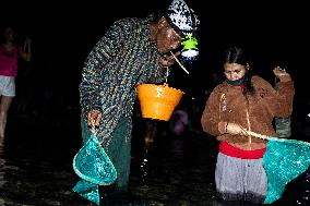 The Sasak People Gather To Catch Sea Worms Or Bau Nyale In Lombok, Indonesia.