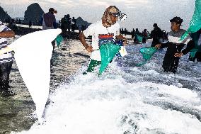 The Sasak People Gather To Catch Sea Worms Or Bau Nyale In Lombok, Indonesia.