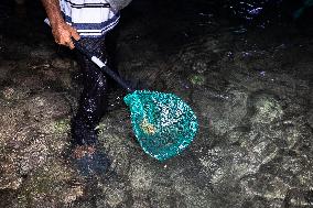 The Sasak People Gather To Catch Sea Worms Or Bau Nyale In Lombok, Indonesia.