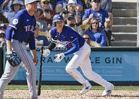 Baseball: MLB spring training