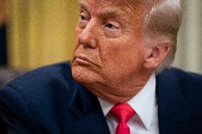 US President Donald Trump Signs Executive Order Pausing USMCA Tariffs