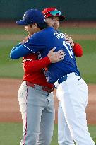 Baseball:Shohei Ohtani