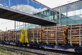 Freight Train Transporting Logs