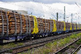 Freight Train Transporting Logs