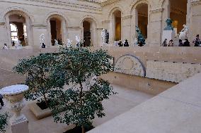 Louvre Museum And Pyramid Illustrations - Paris