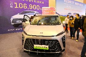2025 Spring International Auto Show in Qingdao