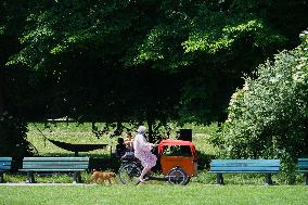 Senior Woman Cycling With Dog