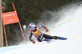 ALPINE SKIING WC GIANT SLALOM