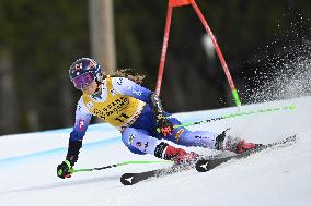 ALPINE SKIING WC GIANT SLALOM