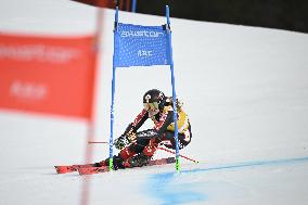 ALPINE SKIING WC GIANT SLALOM