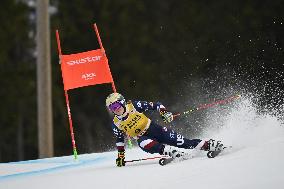 ALPINE SKIING WC GIANT SLALOM