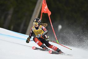 ALPINE SKIING WC GIANT SLALOM