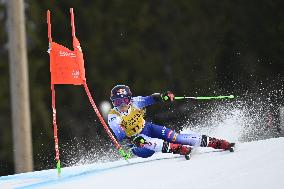 ALPINE SKIING WC GIANT SLALOM