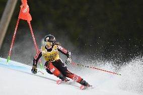 ALPINE SKIING WC GIANT SLALOM