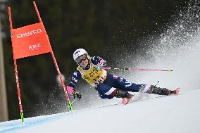 ALPINE SKIING WC GIANT SLALOM
