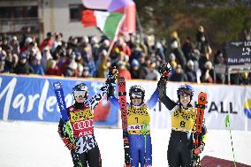 ALPINE SKIING WC GIANT SLALOM