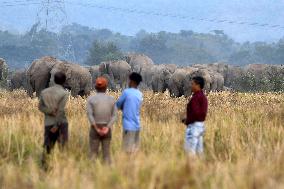 India Wildlife