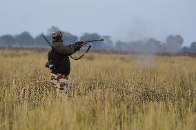 India Wildlife