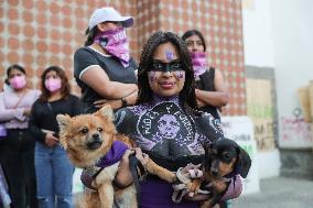 International Women's Day Strike In Tlaxcala