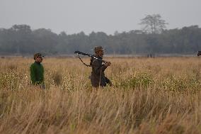 India Wildlife