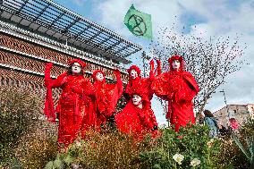 International Women Rights Day Demonstration - Toulouse