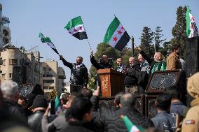 Demonstration in support of the new government - Aleppo