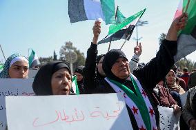 Demonstration in support of the new government - Aleppo